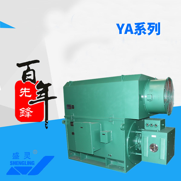 YA系列_YA系列生產(chǎn)廠家_YA系列直銷_維修-先鋒電機(jī)