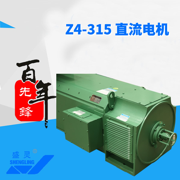 Z4-315直流電機(jī)_Z4-315直流電機(jī)生產(chǎn)廠家_Z4-315直流電機(jī)直銷_維修-先鋒電機(jī)